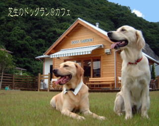 �h�b�O�������J�t�F